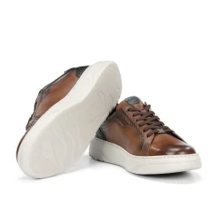 Fashion Fluchos BOSTON F2044 Brown Sneaker