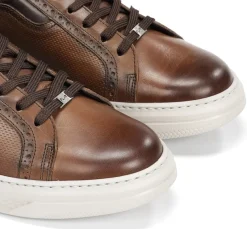 Fashion Fluchos BOSTON F2044 Brown Sneaker