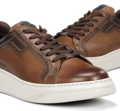 Fashion Fluchos BOSTON F2044 Brown Sneaker