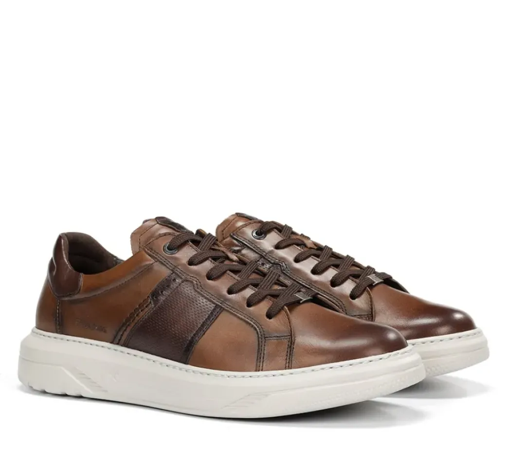Cheap Fluchos BOSTON F2043 Brown Sneaker