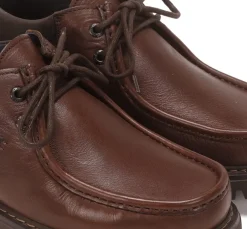 Discount Fluchos DOUGLAS F1323 Brown Shoe
