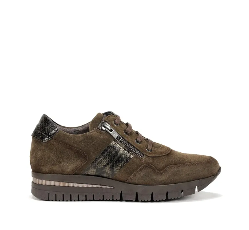 Shop Fluchos MERYL F1619 Green Sneakers